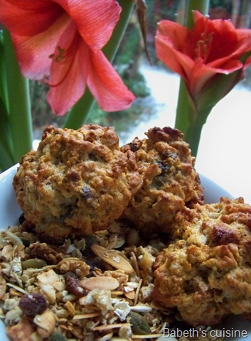 [cookies au granola[8].jpg]